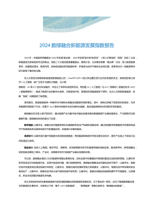 2024数绿融合新能源发展指数报告.docx