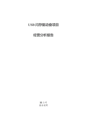 USB闪存驱动器项目经营分析报告.docx