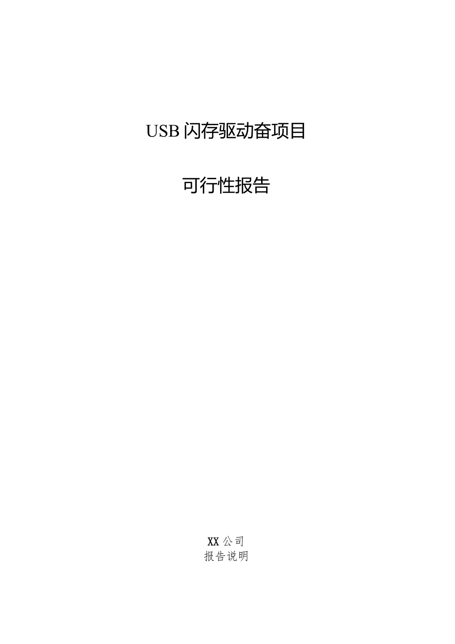 USB闪存驱动器项目可行性报告.docx_第1页