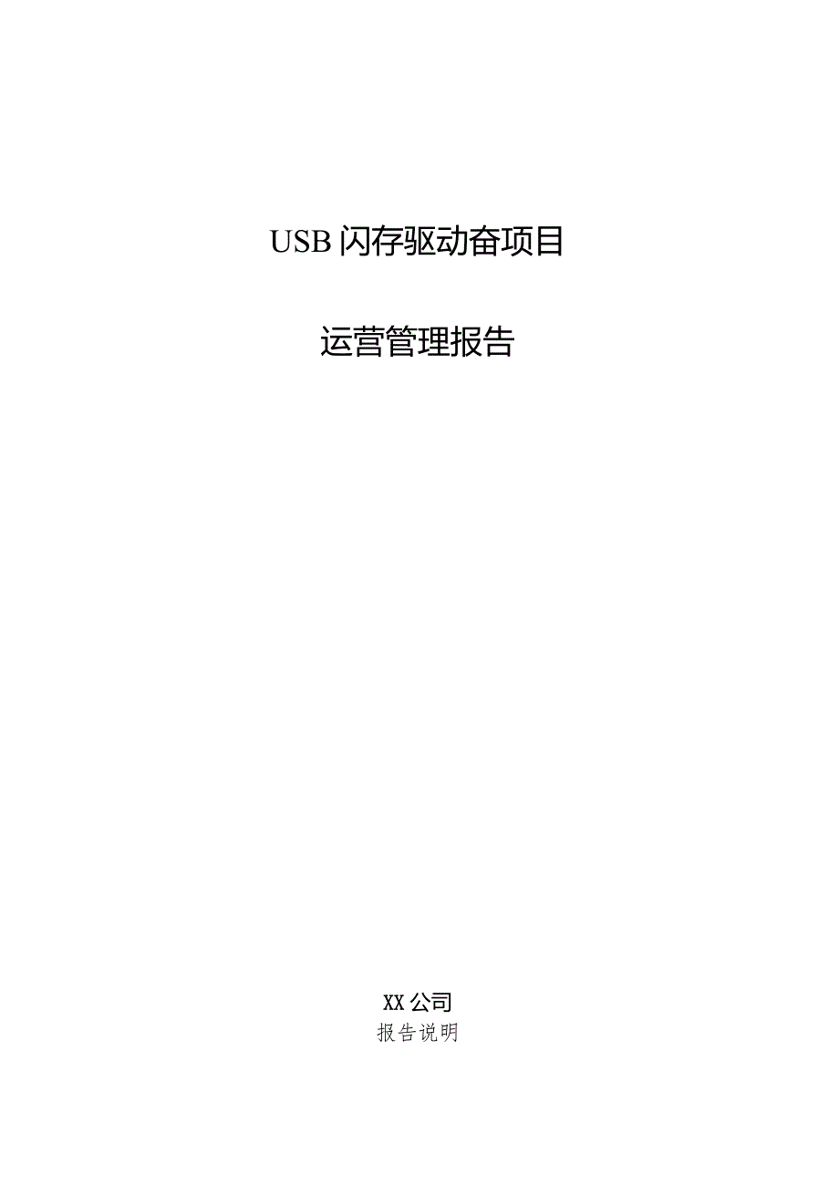 USB闪存驱动器项目运营管理报告.docx_第1页