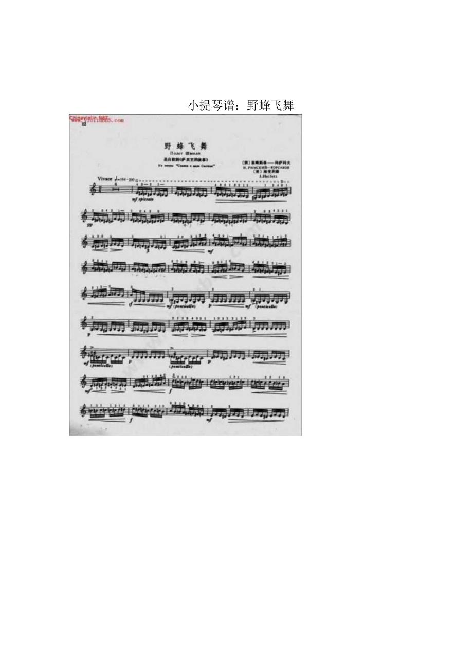 小提琴谱：野蜂飞舞.docx_第1页
