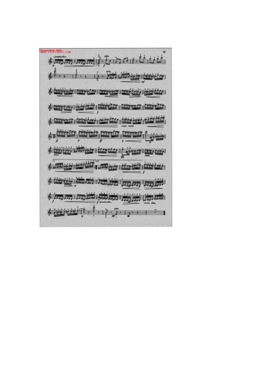 小提琴谱：野蜂飞舞.docx_第2页