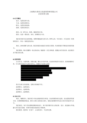 上海骞火体育文化投资管理有限公司-企业宣传文案.docx