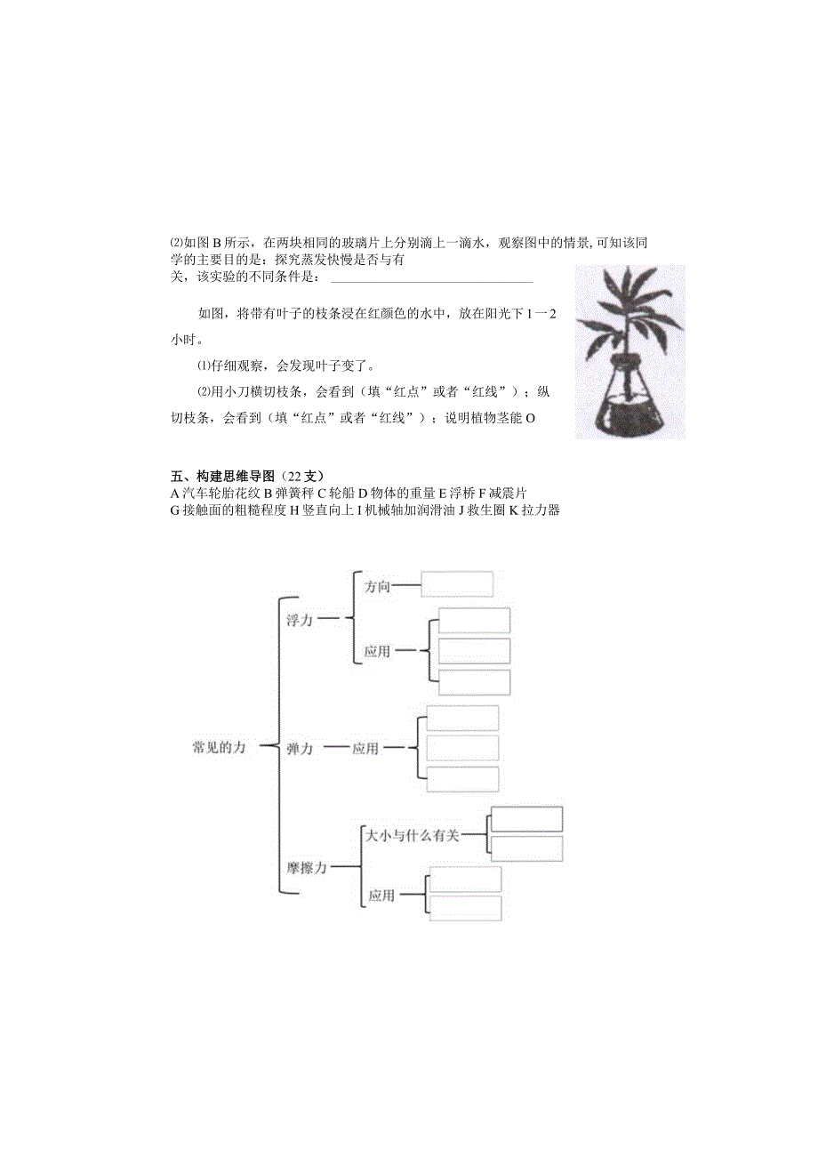 三年级上册科学试题-期末模拟试题青岛版（五四制）（无答案）.docx_第3页