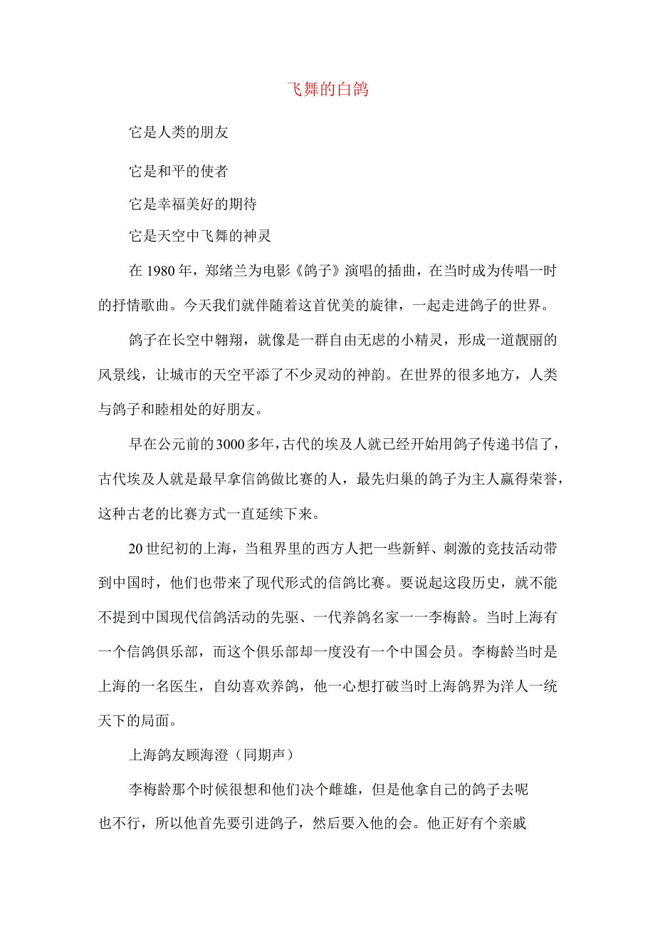 宣传片解说词飞舞的白鸽.docx_第1页