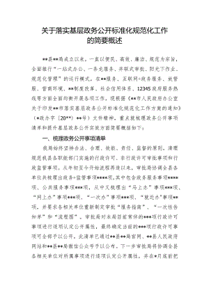 关于落实基层政务公开标准化规范化工作的简要概述.docx