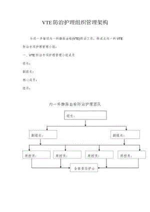 医院VTE防治护理组织管理架构.docx