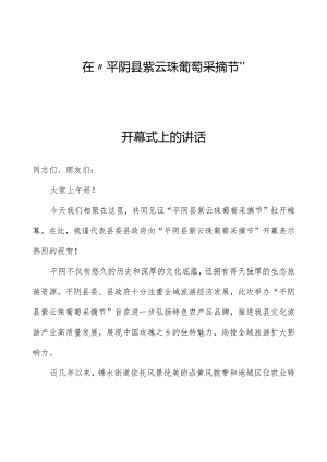 在“平阴县紫云珠葡萄采摘节”开幕式上的讲话.docx