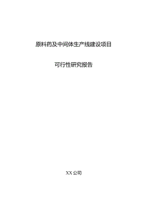 原料药及中间体生产线建设项目可行性研究报告.docx