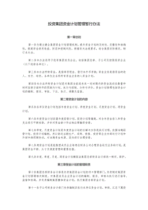 投资集团资金计划管理暂行办法.docx