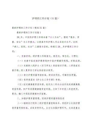 护理的工作计划（31篇）.docx