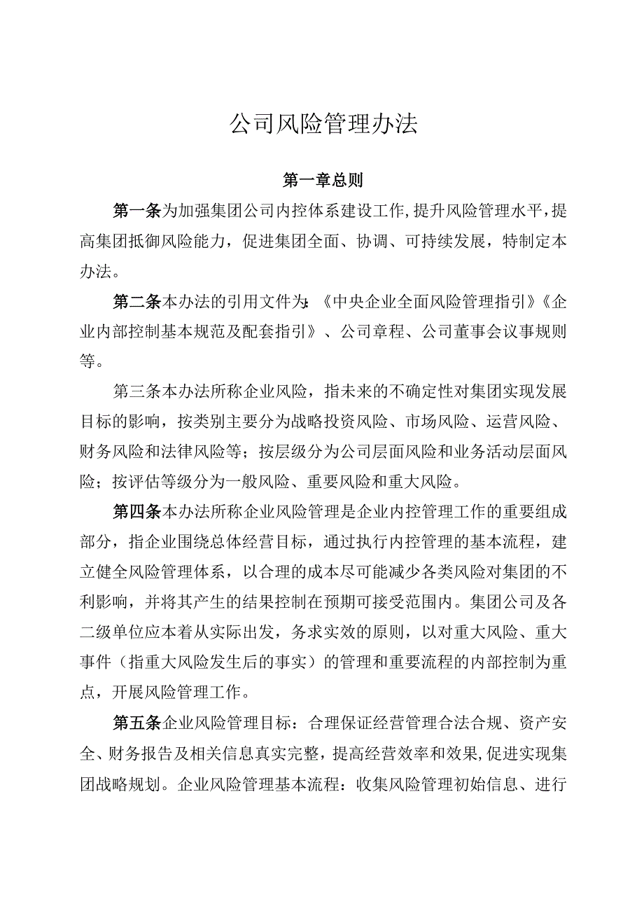 公司风险管理办法.docx_第1页