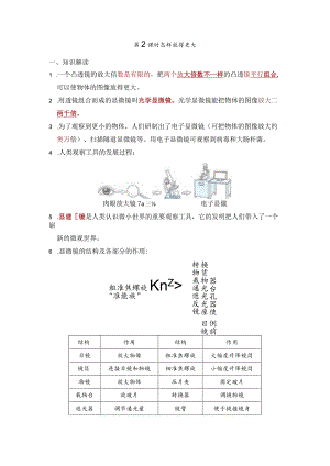 怎样放得更大知识点整理教科版科学六年级上册.docx