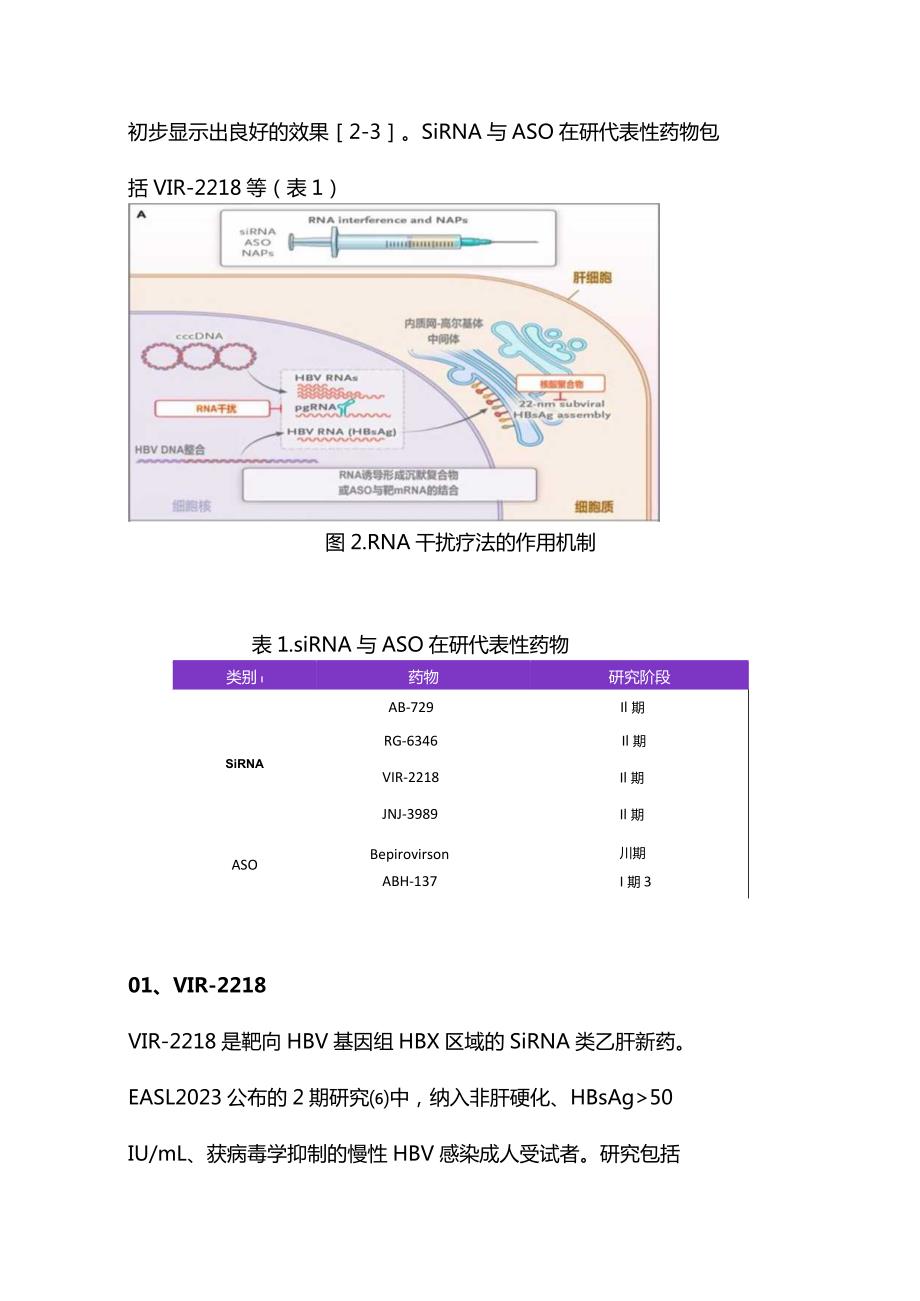 2023乙肝临床治愈新药研发进展.docx_第3页