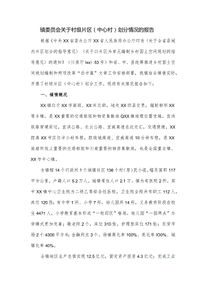 镇委员会关于村级片区（中心村）划分情况的报告.docx