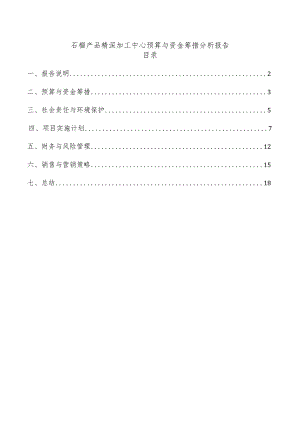 石榴产品精深加工中心预算与资金筹措分析报告.docx