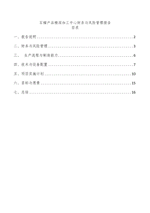 石榴产品精深加工中心财务与风险管理报告.docx