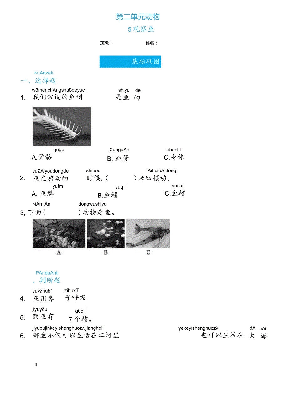 2-5观察鱼（练习）一年级下册科学教科版.docx_第1页