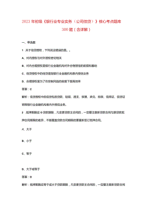 2023年初级《银行业专业实务（公司信贷）》核心考点题库300题（含详解）.docx