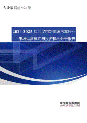 (目录)2024-2025年武汉市新能源汽车行业市场运营模式与投资机会分析报告.docx