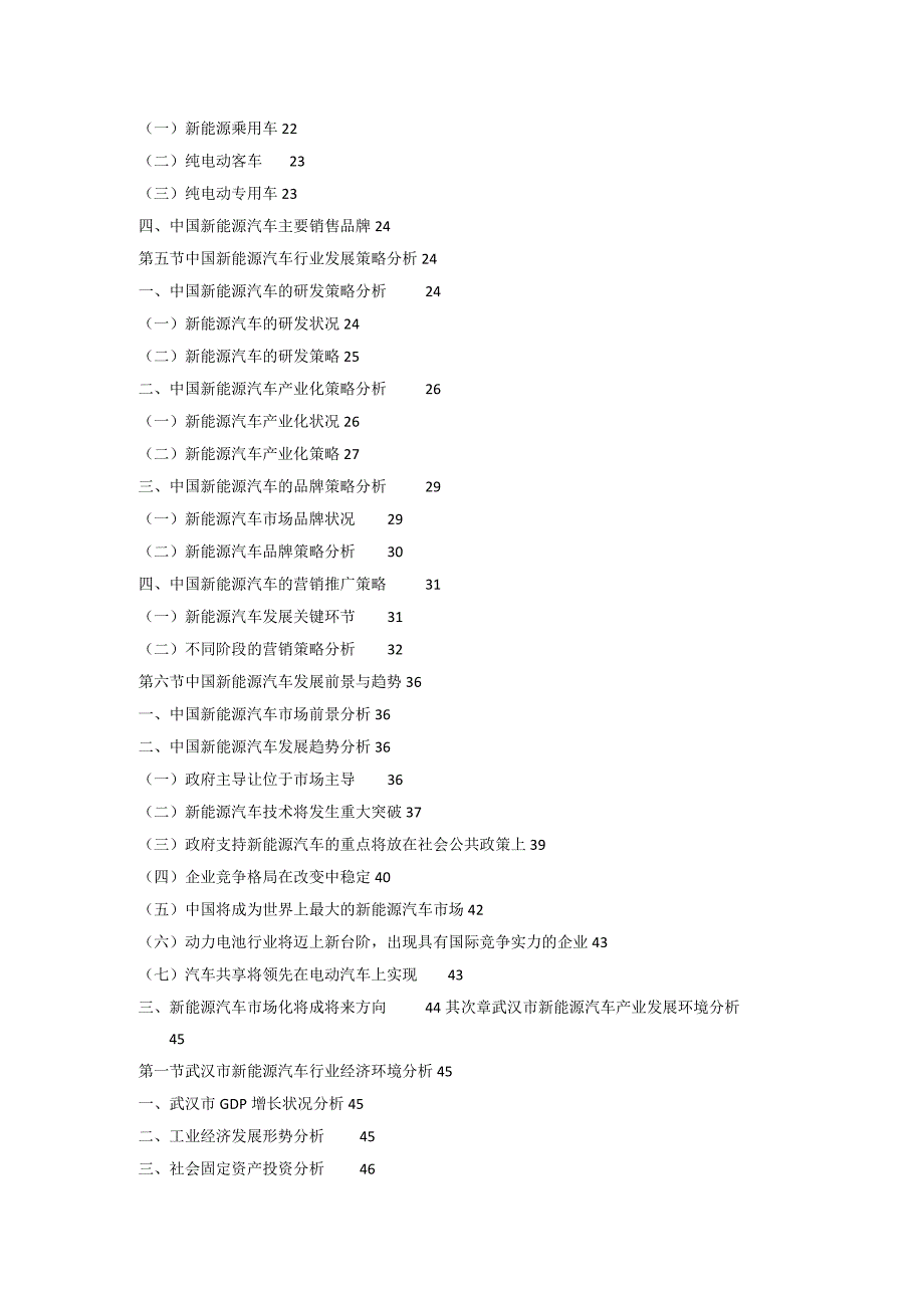 (目录)2024-2025年武汉市新能源汽车行业市场运营模式与投资机会分析报告.docx_第3页