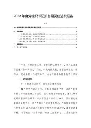 2023年度党组织书记抓基层党建述职报告.docx