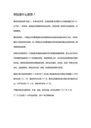 树挂是什么意思.docx