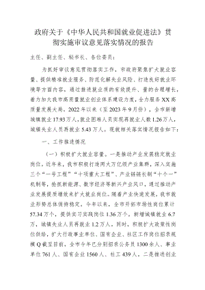 政府关于《中华人民共和国就业促进法》贯彻实施审议意见落实情况的报告.docx