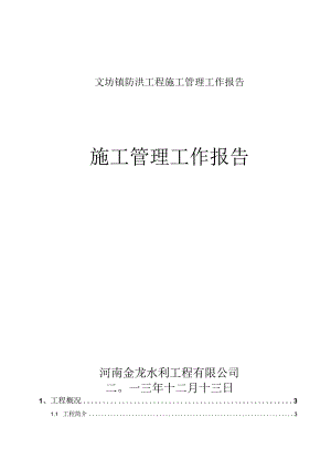 文坊镇防洪工程施工管理工作报告.docx