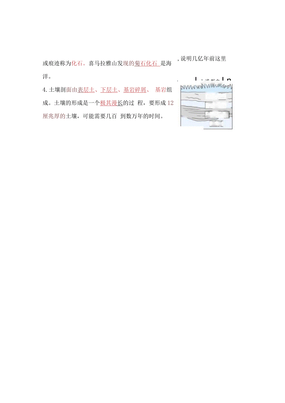 教科版科学四年级下册第三单元必背知识点整理.docx_第2页