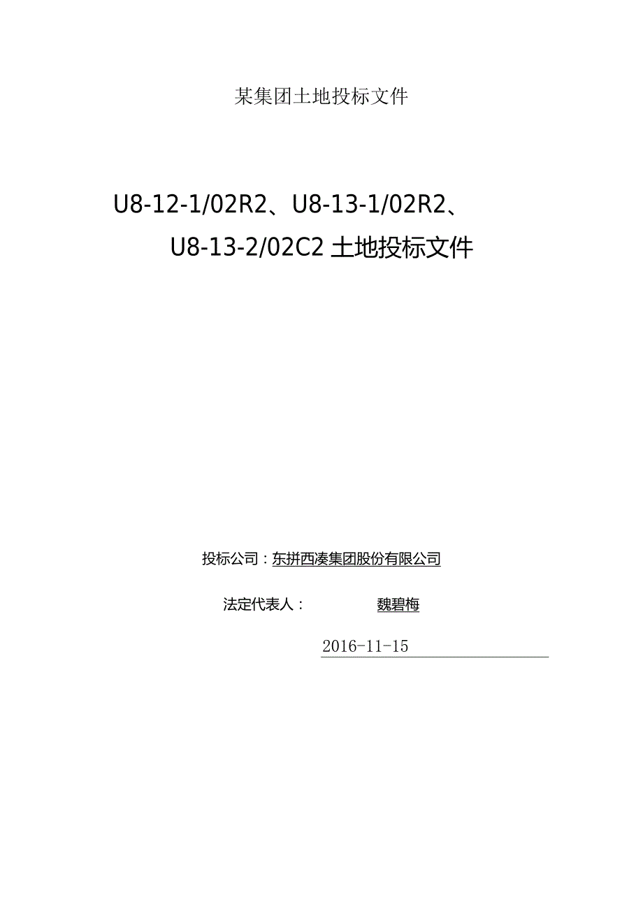 某集团土地投标文件.docx_第1页