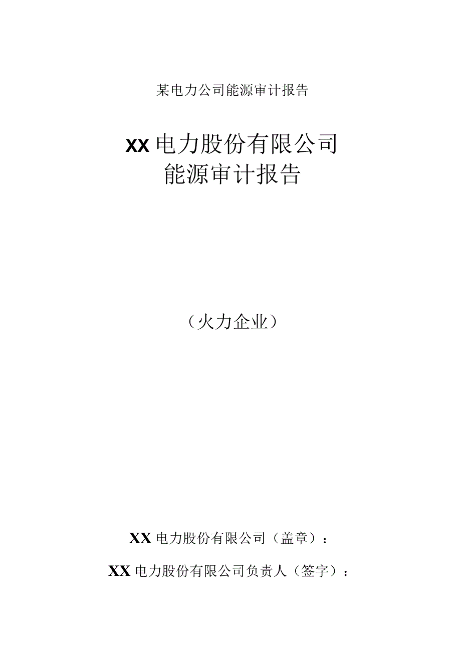 某电力公司能源审计报告.docx_第1页