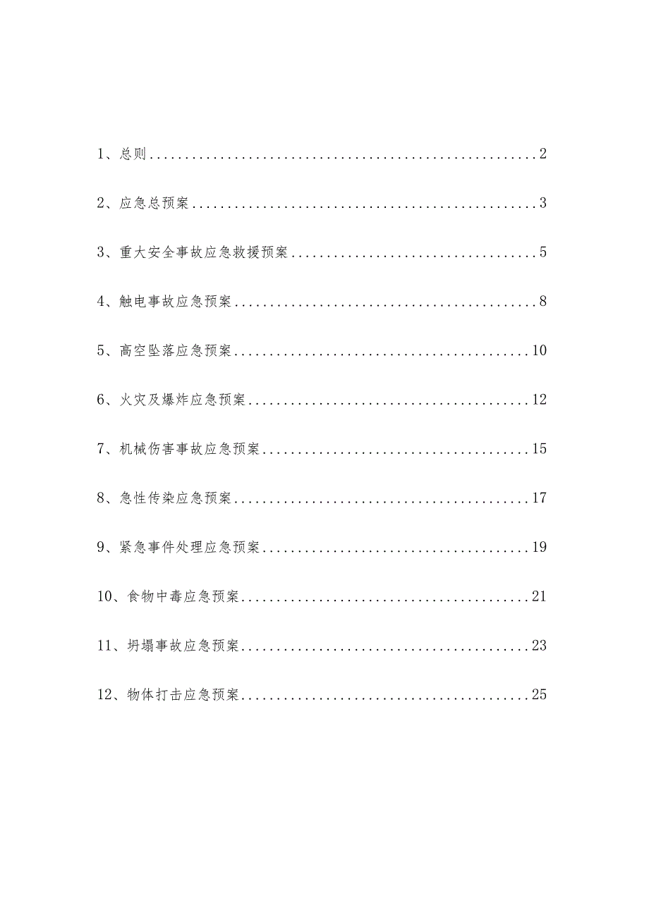 某项目工程应急预案.docx_第2页