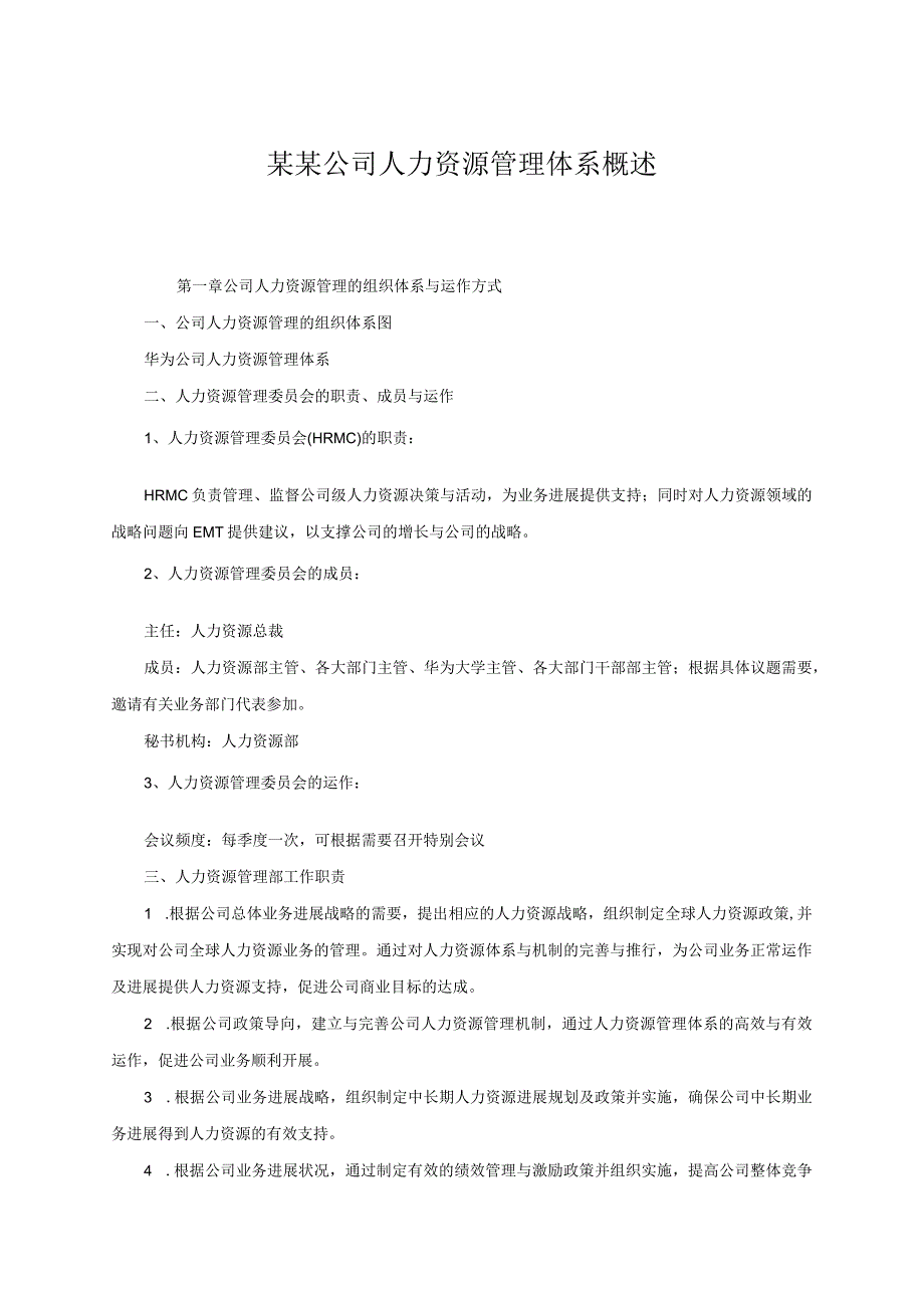某某公司人力资源管理体系概述.docx_第1页