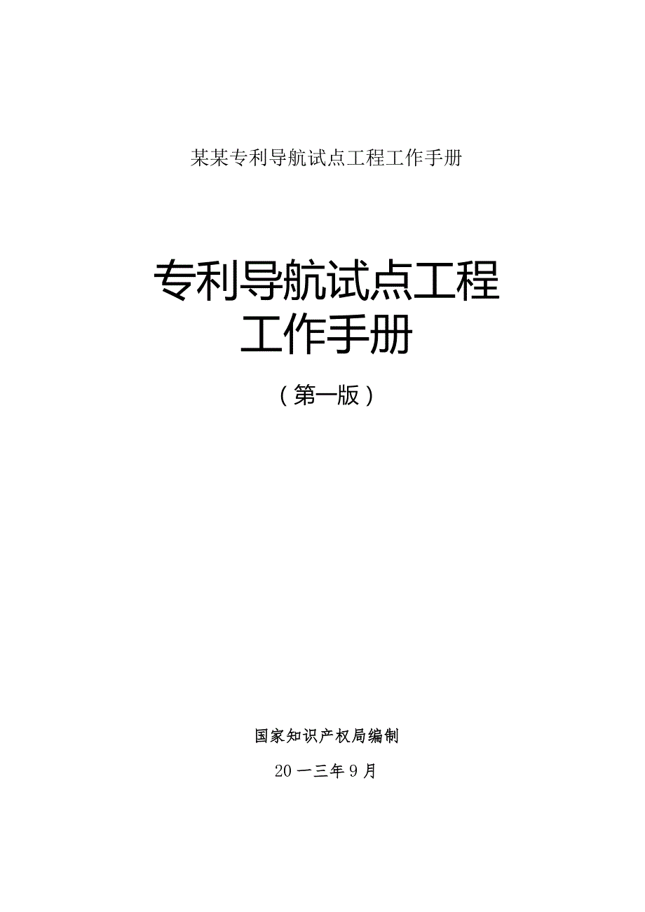 某某专利导航试点工程工作手册.docx_第1页