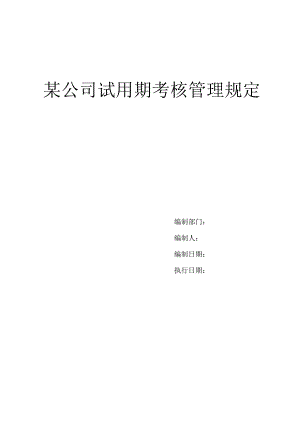 某公司试用期考核管理规定.docx