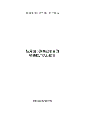 某商业项目销售推广执行报告.docx