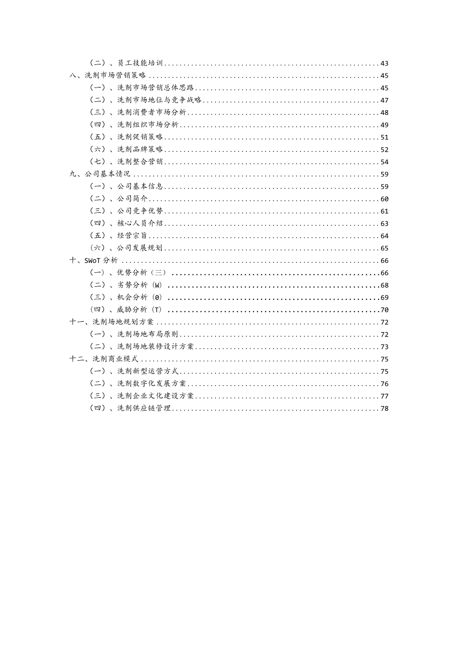 洗剂行业商业计划书.docx_第3页