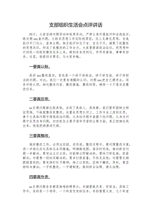 支部组织生活会点评讲话.docx