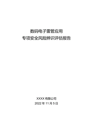 数码电子雷管应用专项辨识评估报告.docx