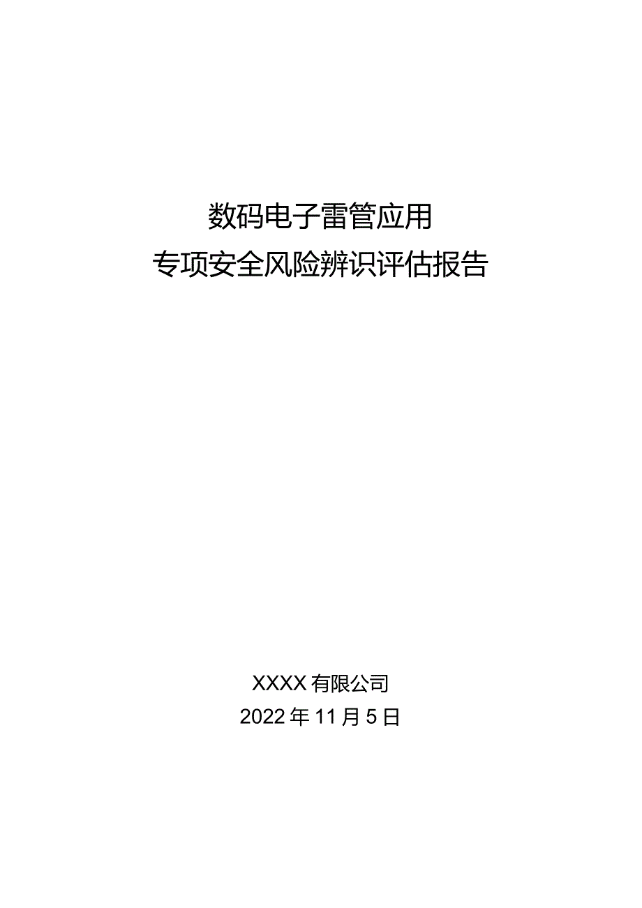 数码电子雷管应用专项辨识评估报告.docx_第1页