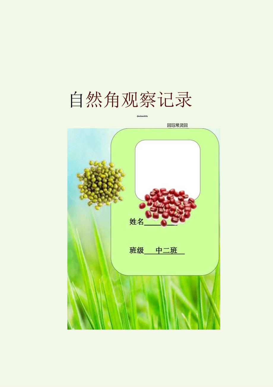 植物角记录1-精品文档资料系列.docx_第2页