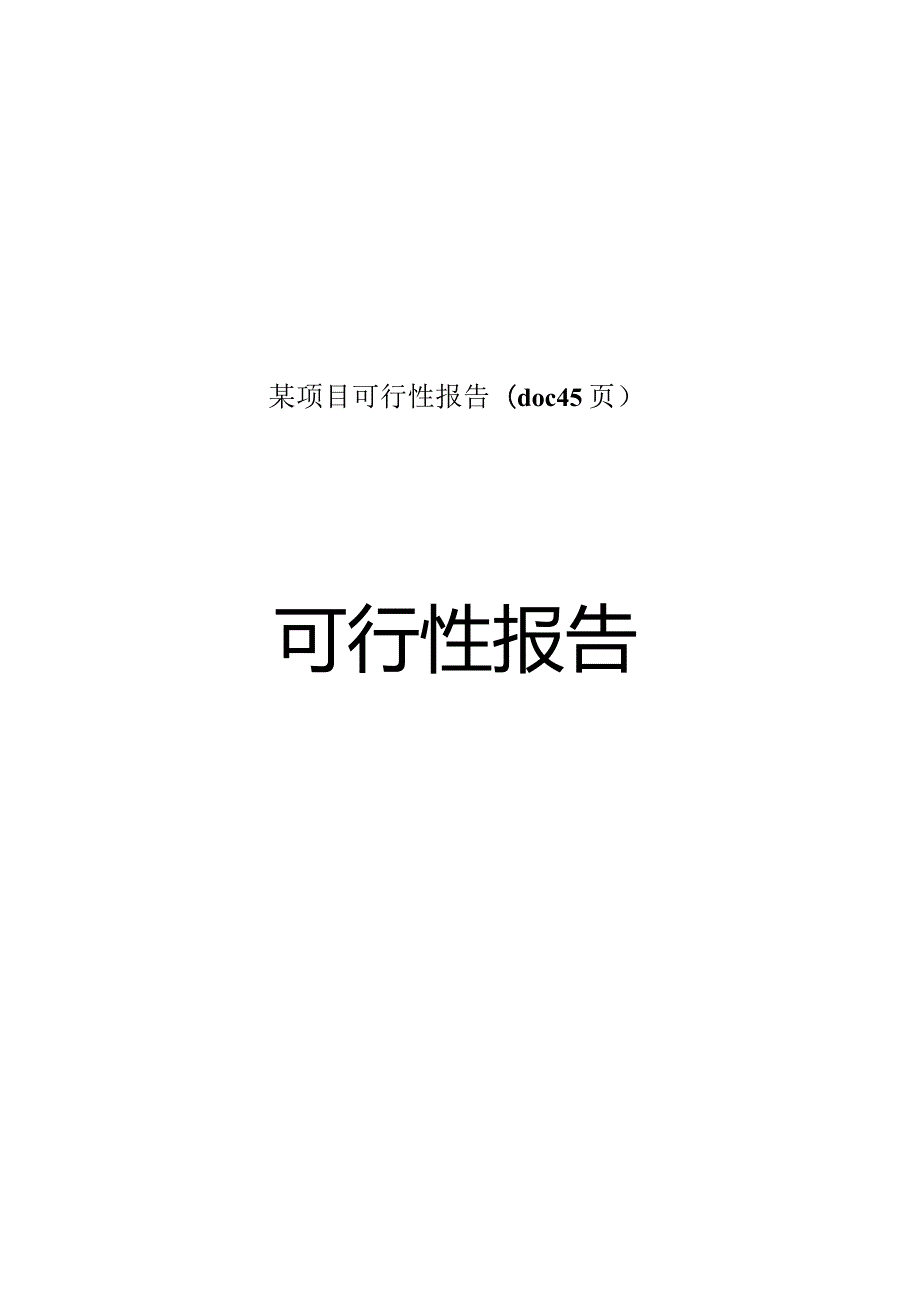 某项目可行性报告(doc45页).docx_第1页