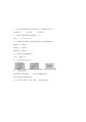 最新教科版小学六年级科学上册第一单元《微小世界》重难点培优提升检测试卷（附答案）.docx