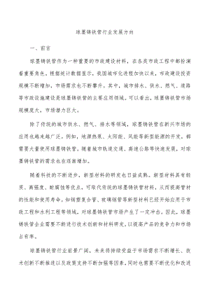 球墨铸铁管行业发展方向.docx