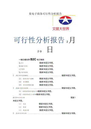 某电子商务可行性分析报告.docx