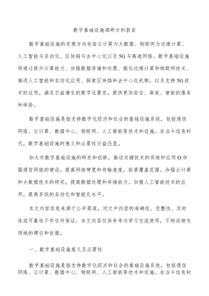 数字基础设施调研分析报告.docx