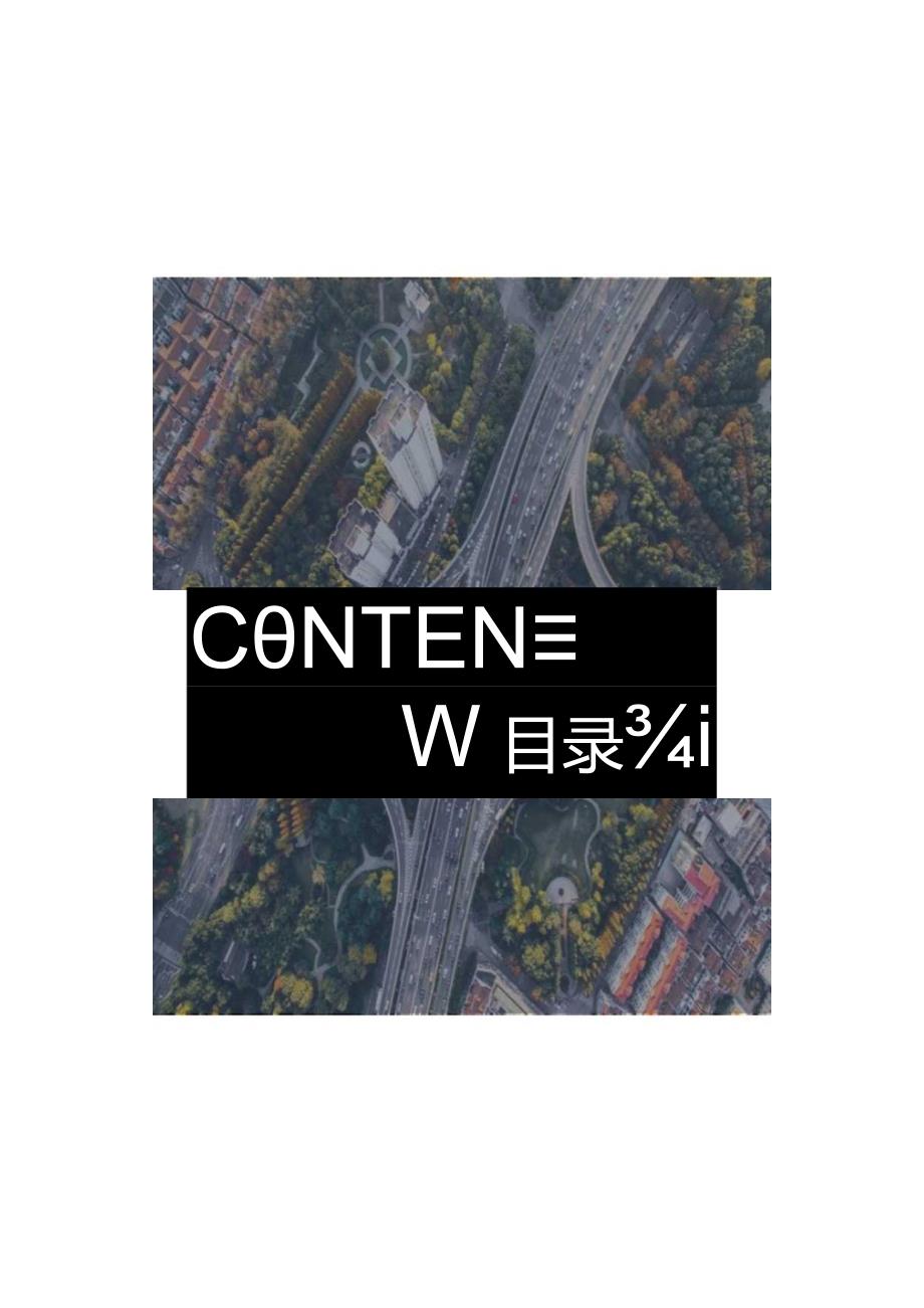 沿江高速智慧化建设方案.docx_第3页