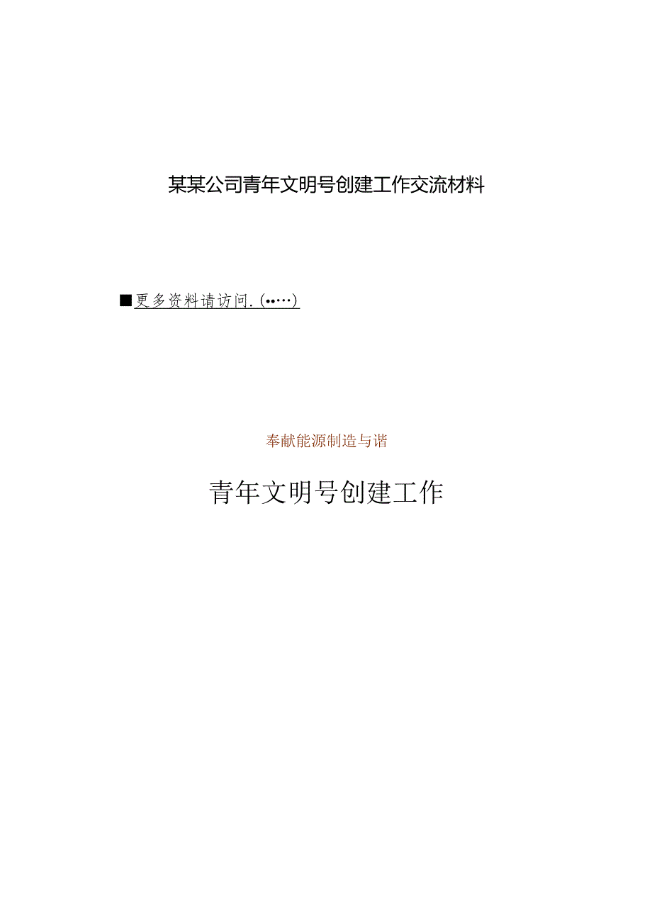 某某公司青年文明号创建工作交流材料.docx_第1页