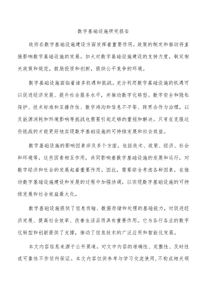 数字基础设施研究报告.docx